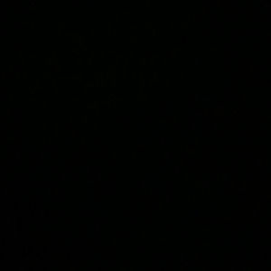 Meet your Posher, Shamari